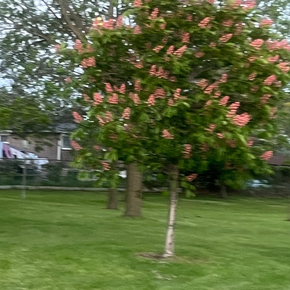 a_nm540